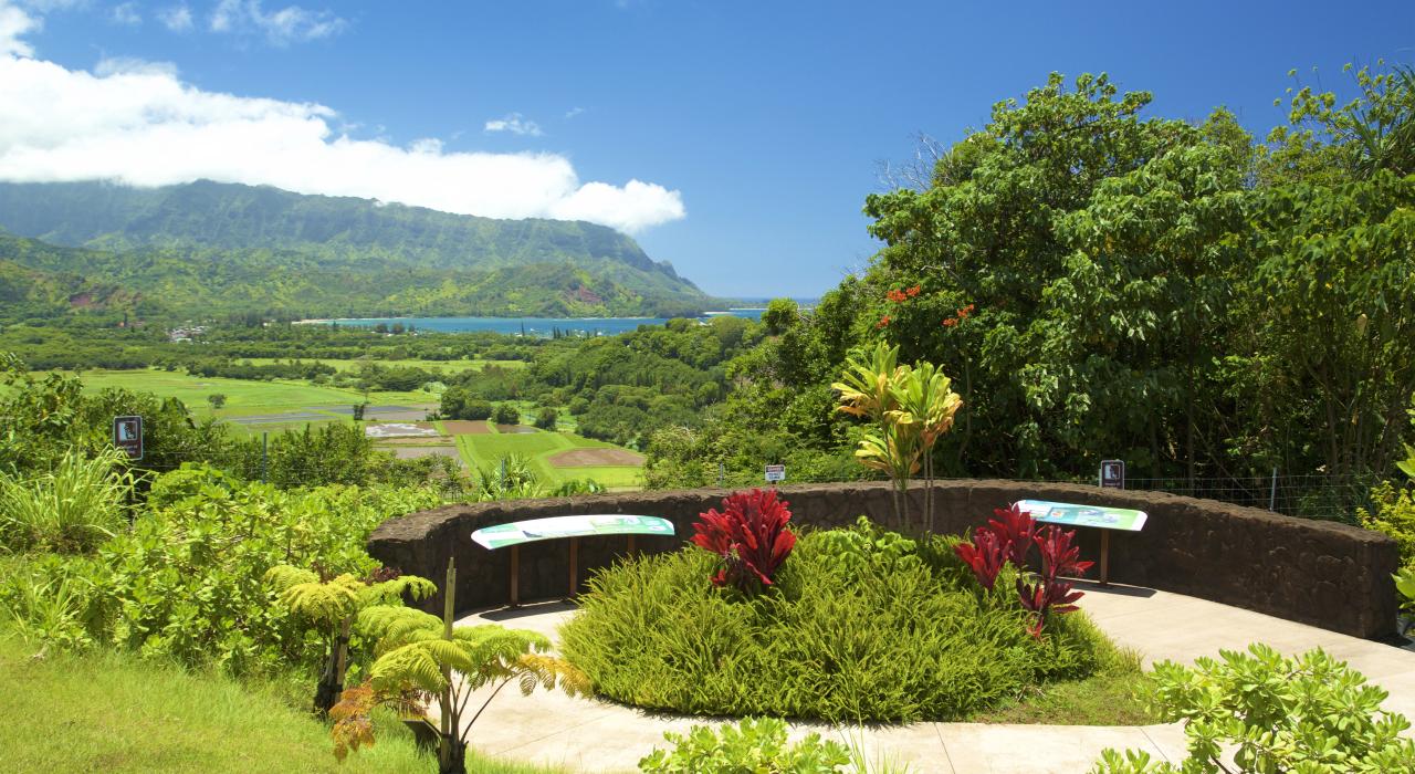 哈纳雷国家野生动物保护区 (Hanalei National Wildlife Refuge) 的美丽观景点 哈纳雷国家野生动物保护区 (Hanalei National Wildlife Refuge) 的美丽观景点