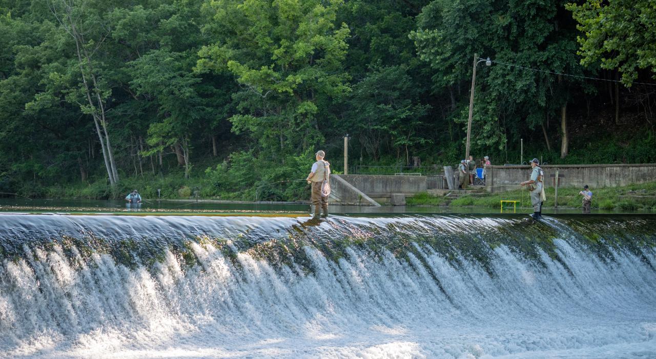 在贝内特泉州立公园垂钓鳟鱼 在贝内特泉州立公园垂钓鳟鱼