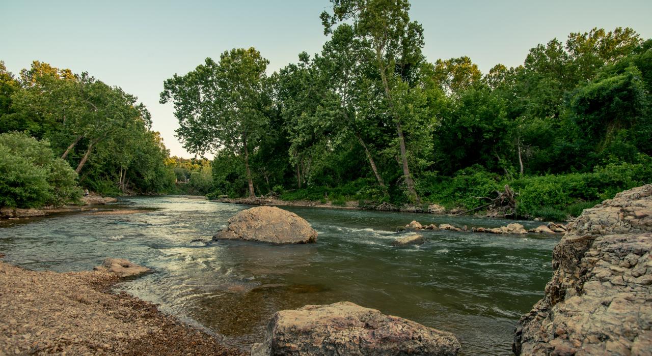 野猫林保护与奥杜邦中心的浅滩溪 野猫林保护与奥杜邦中心的浅滩溪