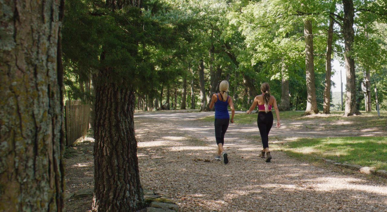 徜徉于凯蒂步道州立公园内绿意环绕的小径上