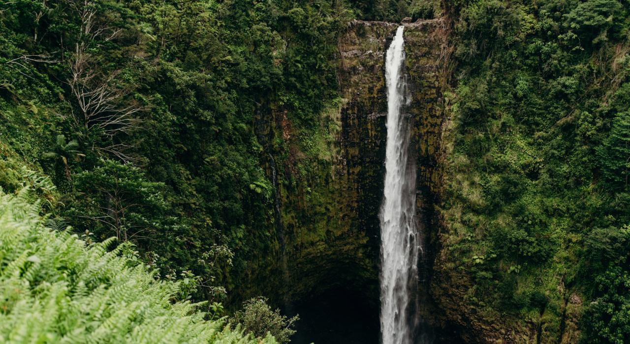 夏威夷州垂直落差最高的瀑布：阿卡卡瀑布