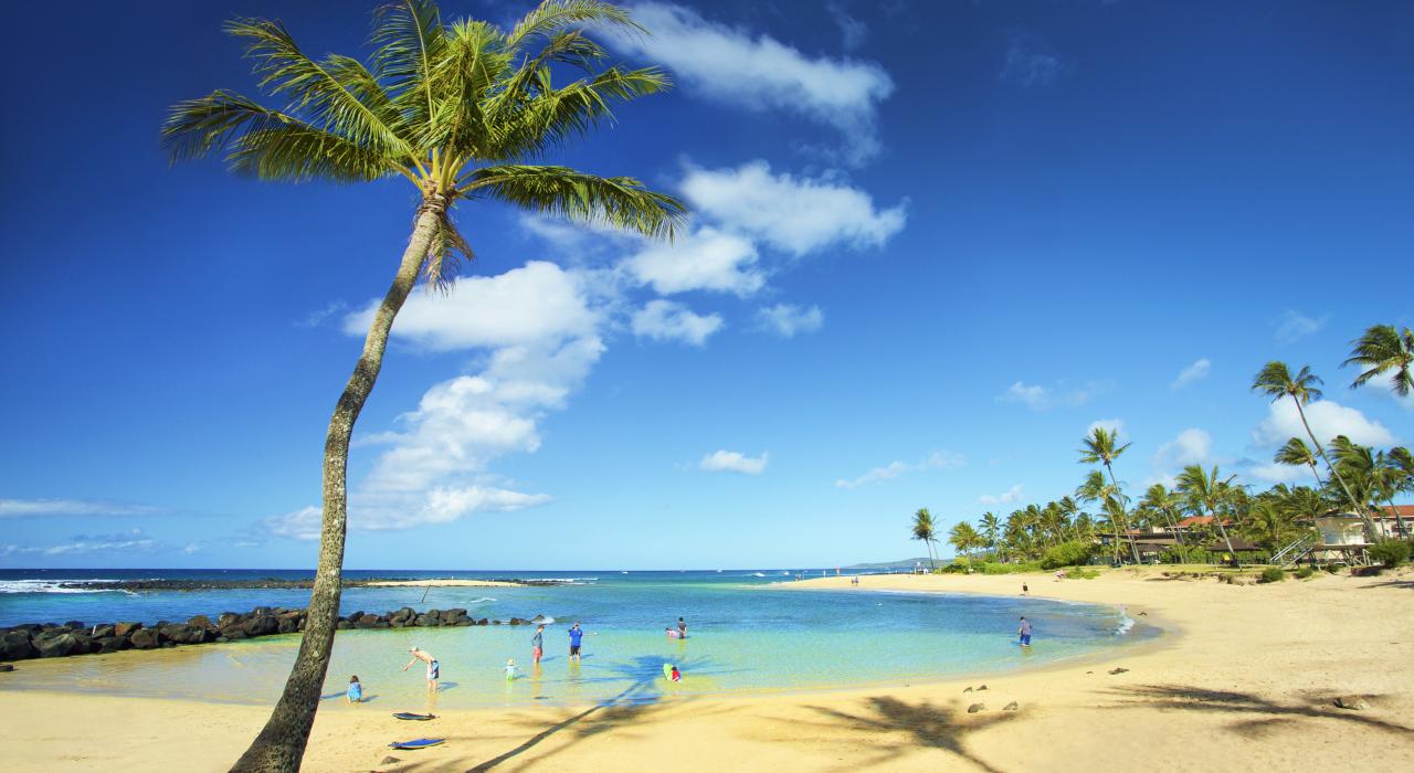 在波普海滩公园 (Poipu Beach Park) 清澈的海水中浅步 在波普海滩公园 (Poipu Beach Park) 清澈的海水中浅步