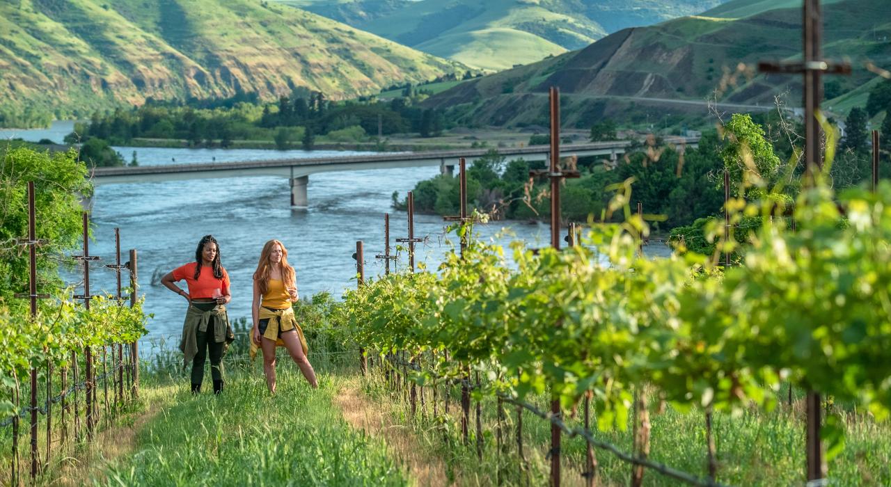 在 Rivaura Estate Vineyard 葡萄园和酒庄品尝葡萄酒 在 Rivaura Estate Vineyard 葡萄园和酒庄品尝葡萄酒
