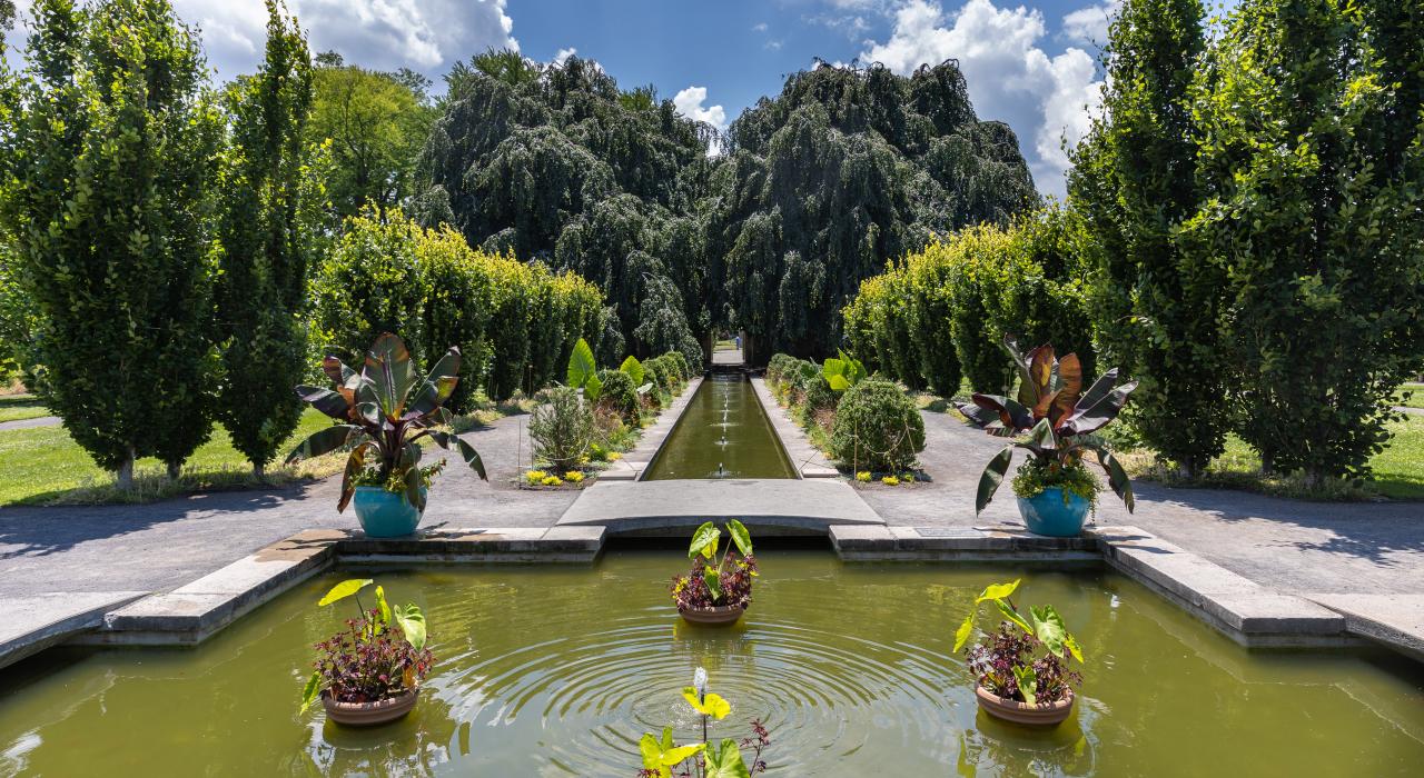 扬克斯市 Untermeyer Gardens 花园的美丽花卉与喷泉景观 扬克斯市 Untermeyer Gardens 花园的美丽花卉与喷泉景观