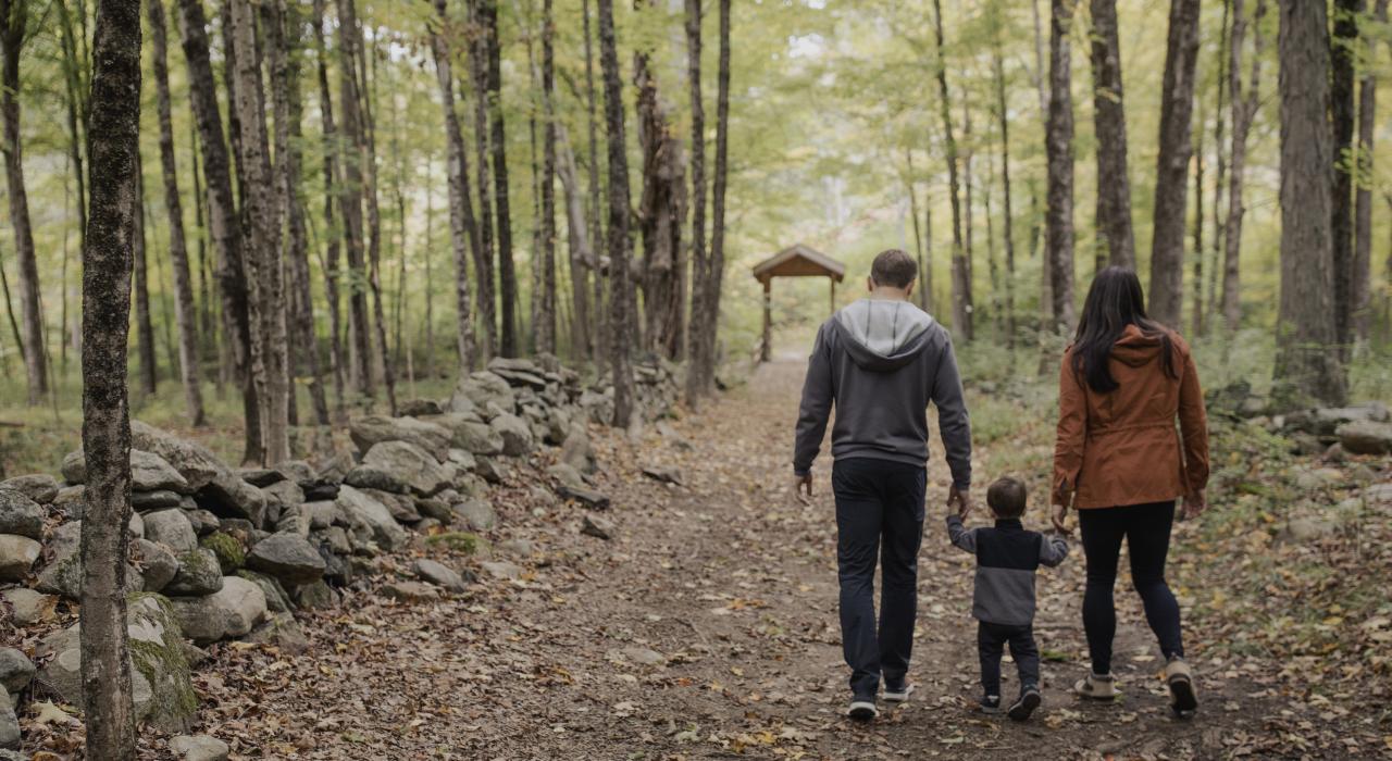在韦斯特切斯特县最大的公园沃德庞德里奇保护区徒步旅行 在韦斯特切斯特县最大的公园沃德庞德里奇保护区徒步旅行