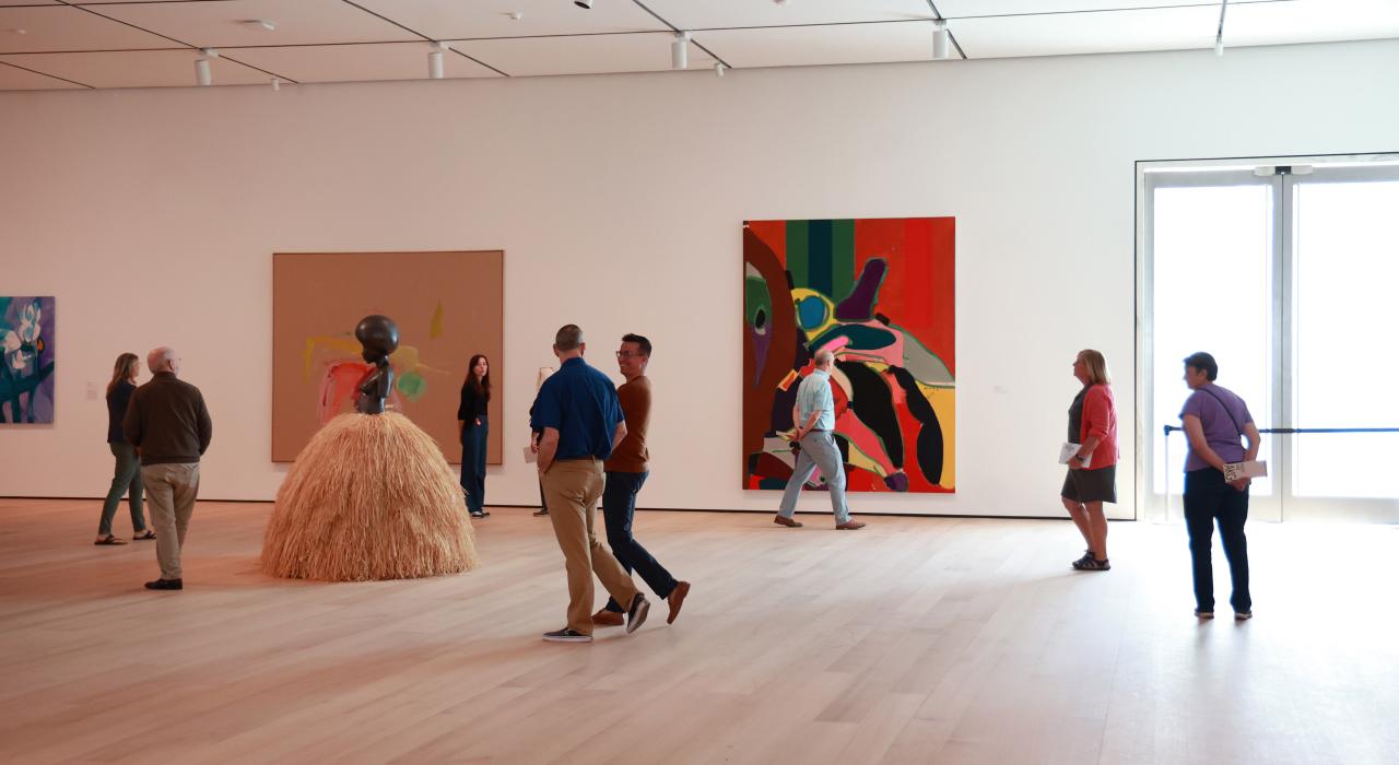 参观 Buffalo AKG Art Museum 艺术博物馆的画廊 参观 Buffalo AKG Art Museum 艺术博物馆的画廊