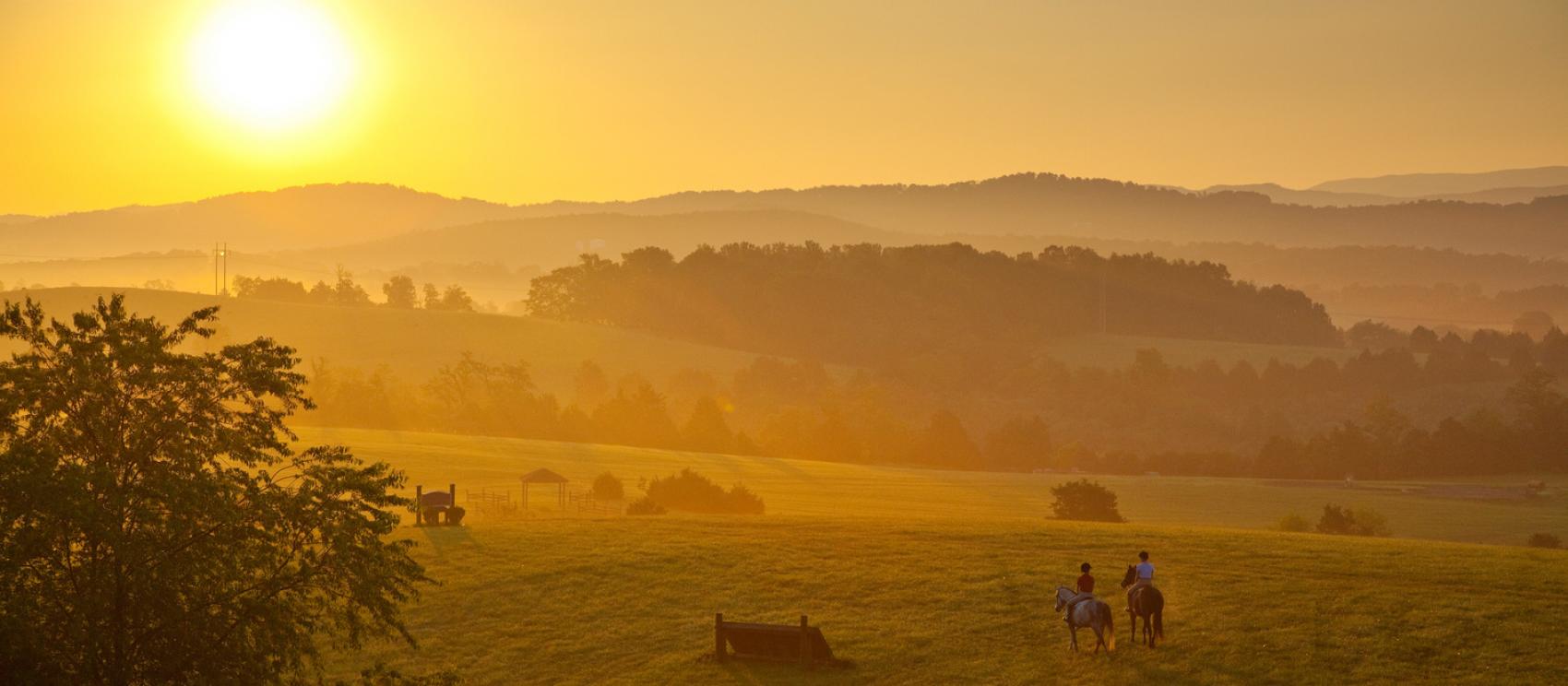 晨光在列克星敦弗吉尼亚马匹中心撒下温暖的辉芒 晨光在列克星敦弗吉尼亚马匹中心撒下温暖的辉芒