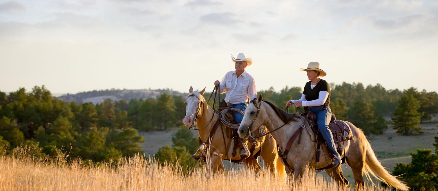 在大草原上骑马 在大草原上骑马