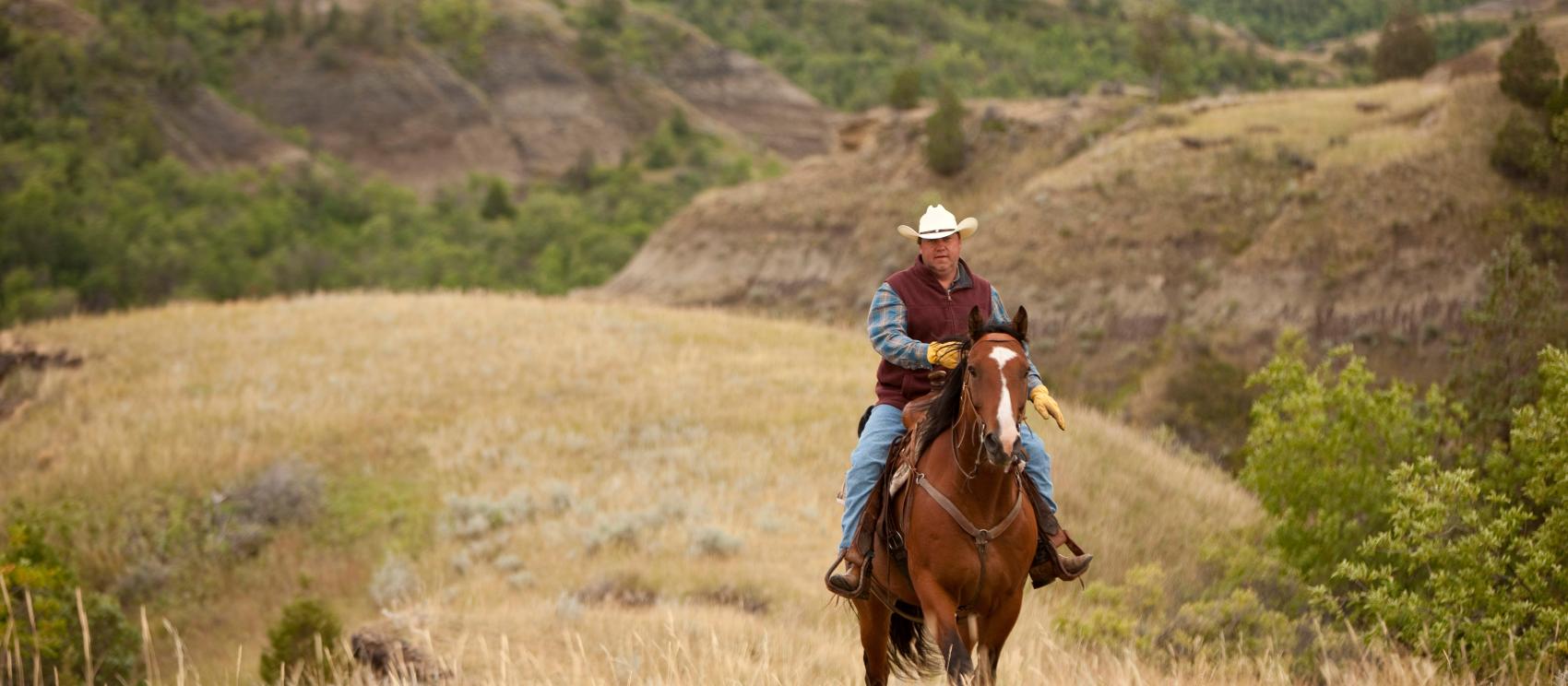 在小密苏里州州立公园骑马