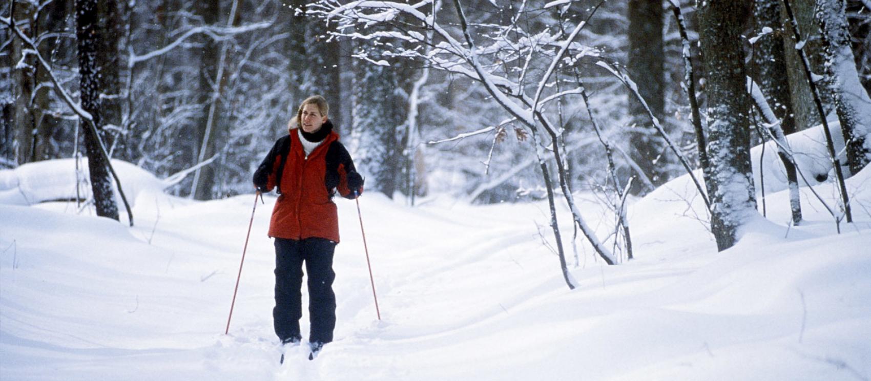 在奥克兰的哈林顿庄园州立公园体验越野滑雪 在奥克兰的哈林顿庄园州立公园体验越野滑雪