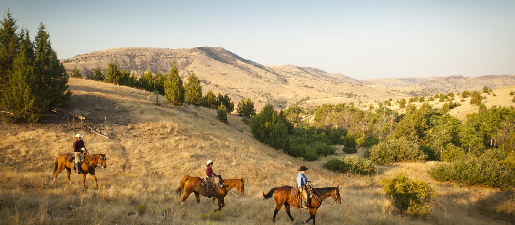 骑马游览威尔逊农场度假村