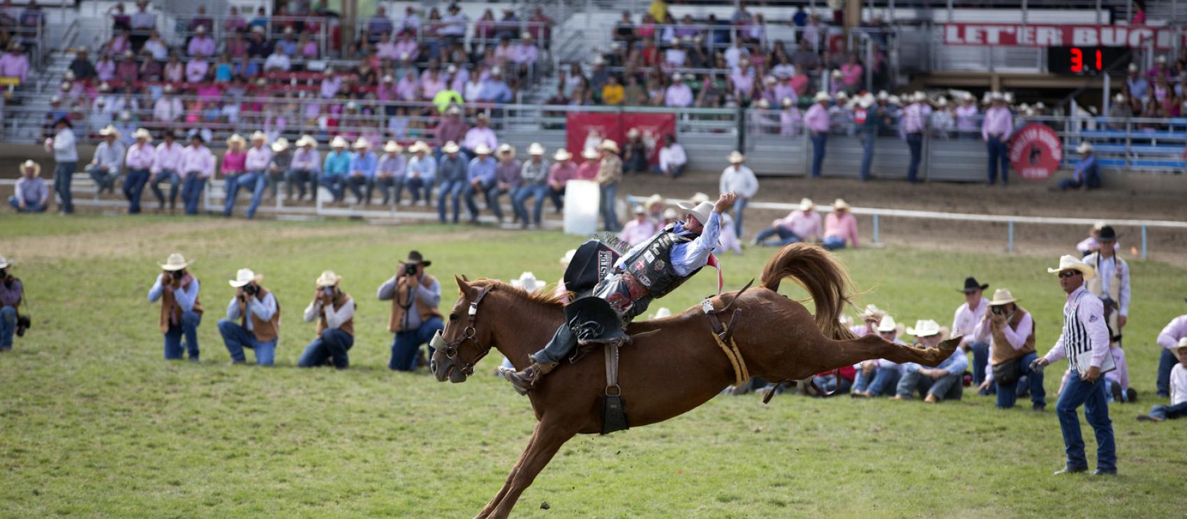 彭德尔顿集会期间的牛仔竞技表演