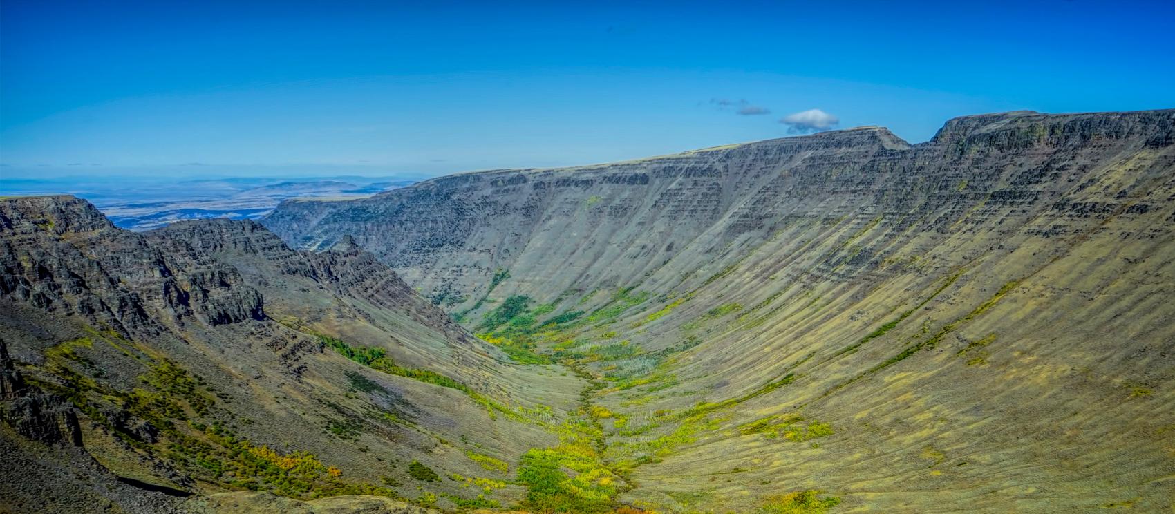斯廷山基格峡谷上茂盛的植被