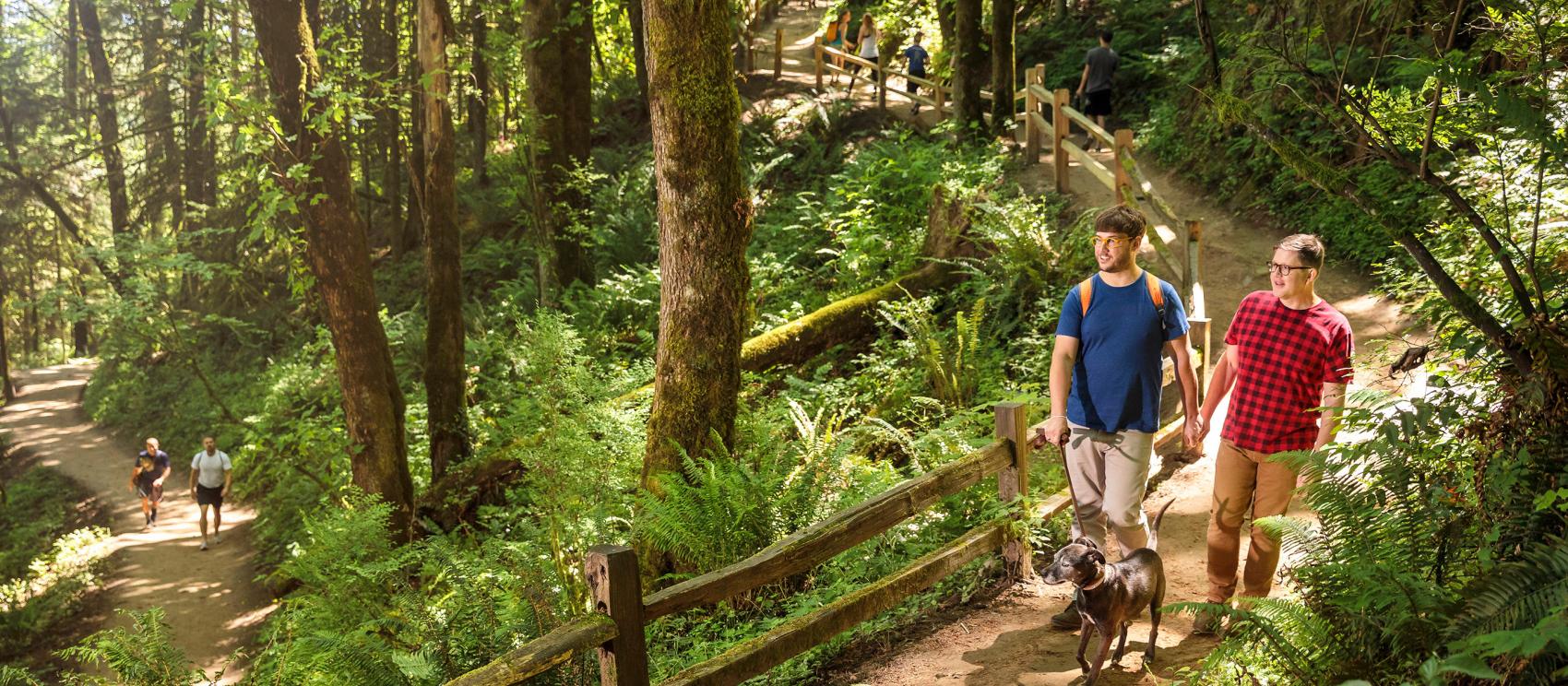 在森林公园远足