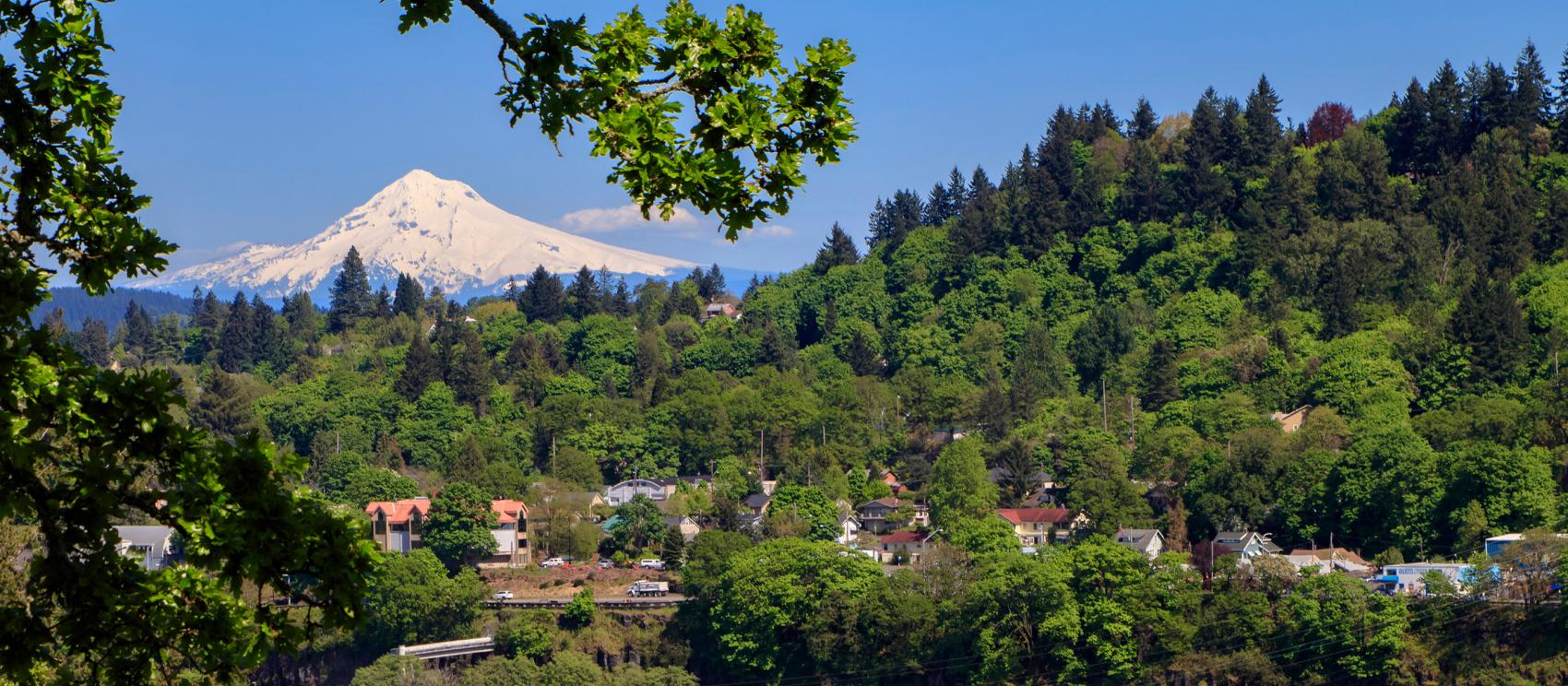 从四周欣赏胡德山