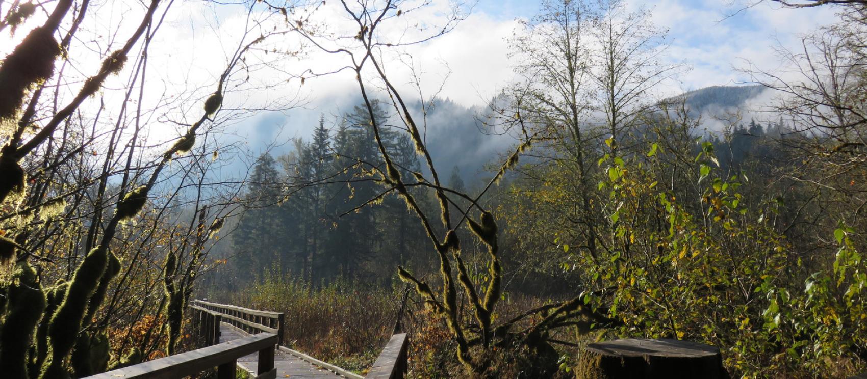 Welches 荒野休闲景点的木板道