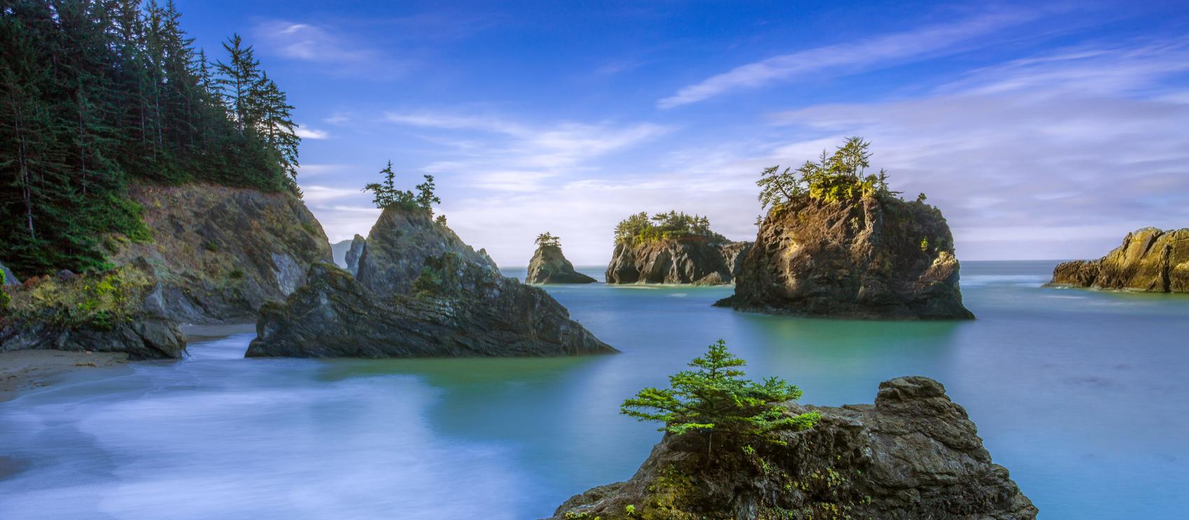 布鲁金斯神秘海滩上生长在岩层中的葱郁植物