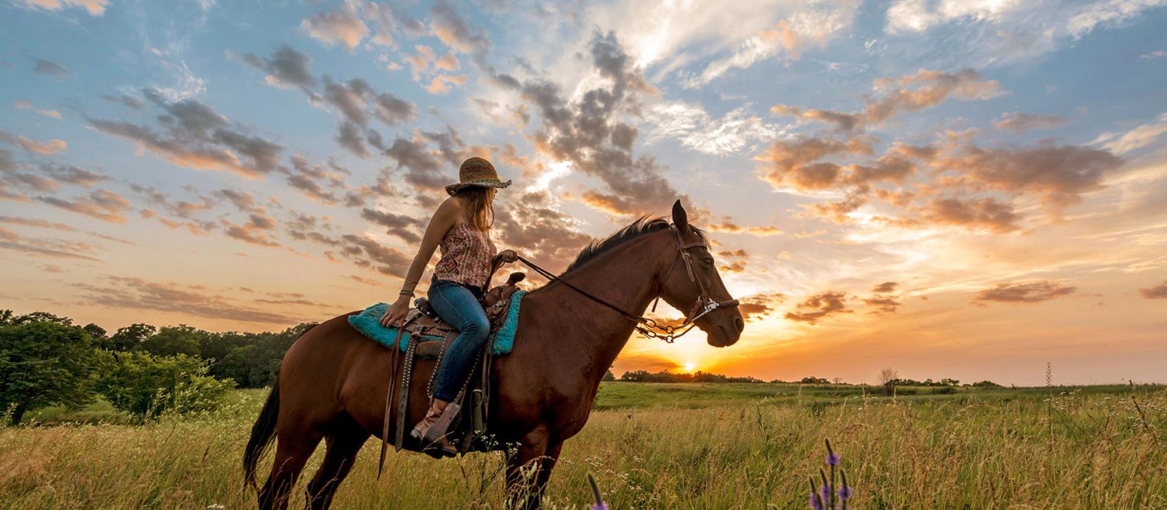 骑上马背，探索 Circle S 牧场