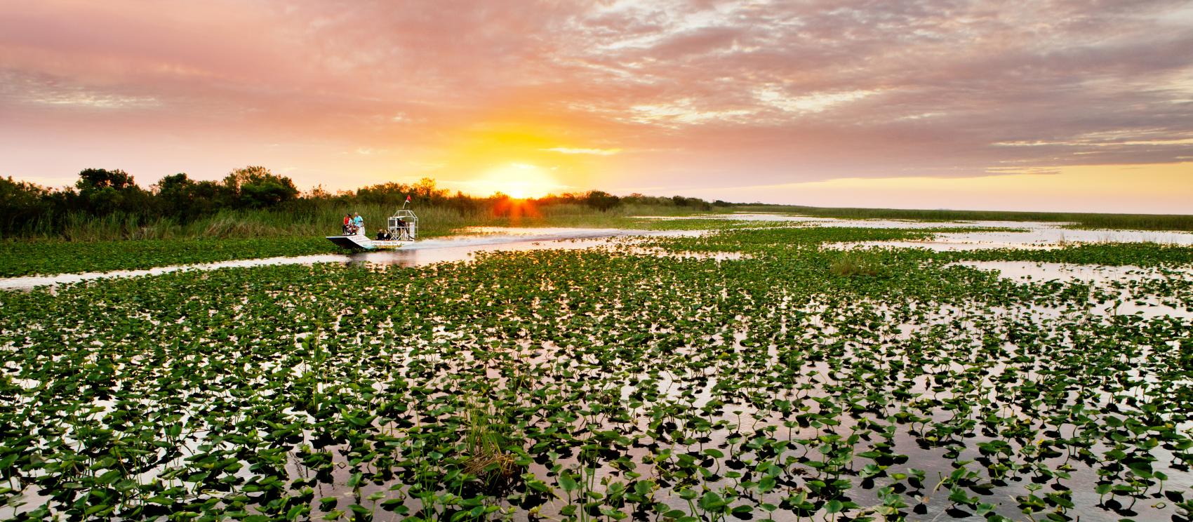 搭乘汽船在大沼泽地穿行