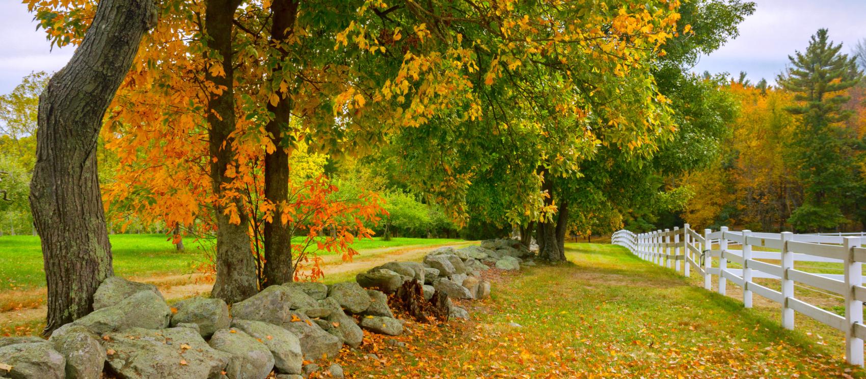 博尔顿果园的如画落叶秋景