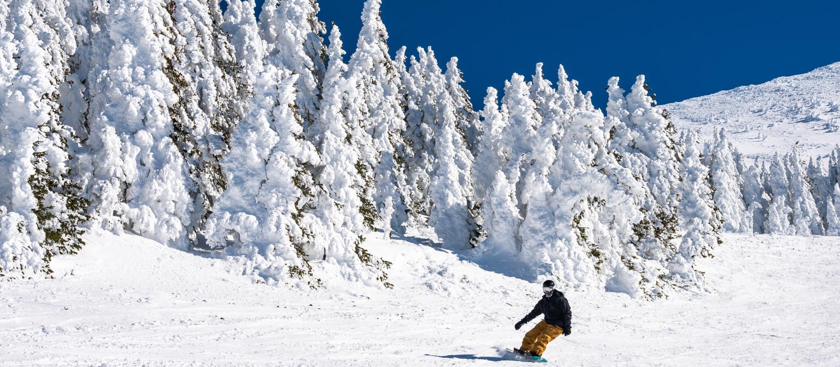 在亚利桑那州雪碗滑雪场单板滑雪,这是弗拉格斯塔夫的主要游玩项目 在亚利桑那州雪碗滑雪场单板滑雪,这是弗拉格斯塔夫的主要游玩项目
