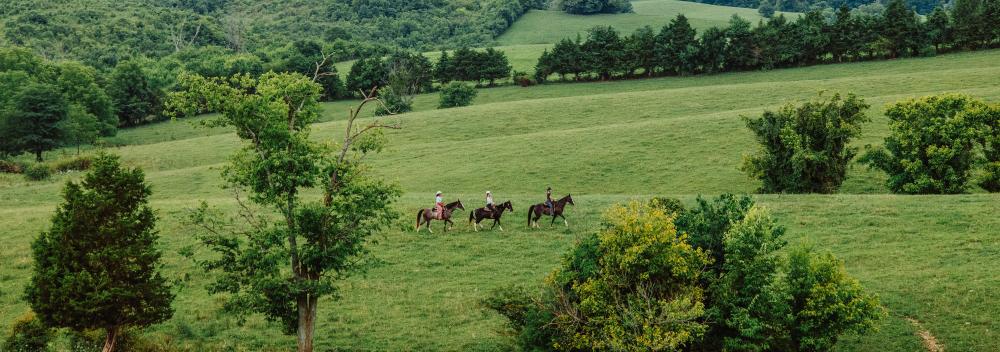 骑马穿越肯塔基州哈里斯堡的乡村地区
